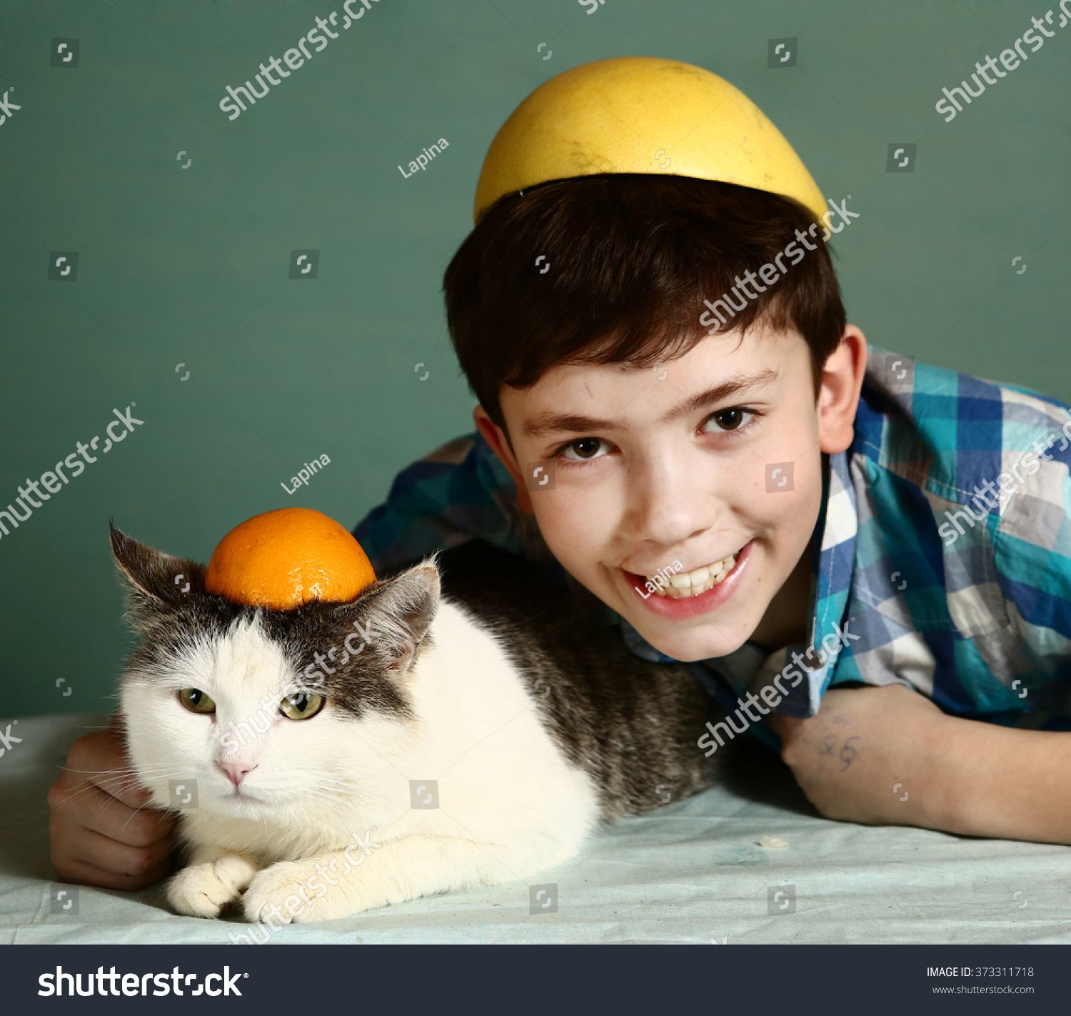 orange hat cat