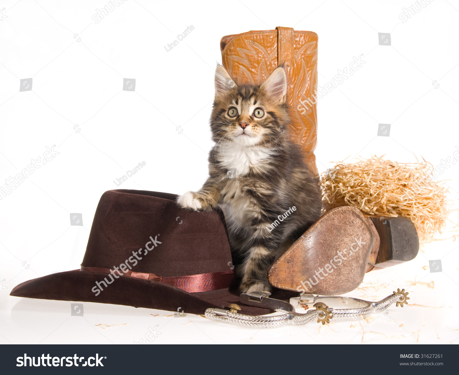 cowboy boots for cats