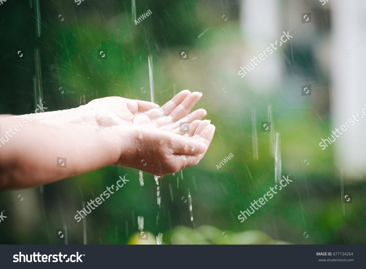 Rain water in hand Stock Photos, Images & Photography | Shutterstock