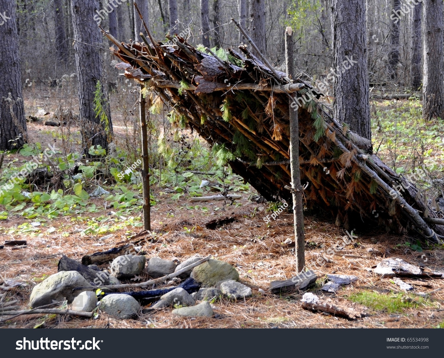 Primitive Shelter Woods Fire Pit Stock Photo Edit Now 65534998