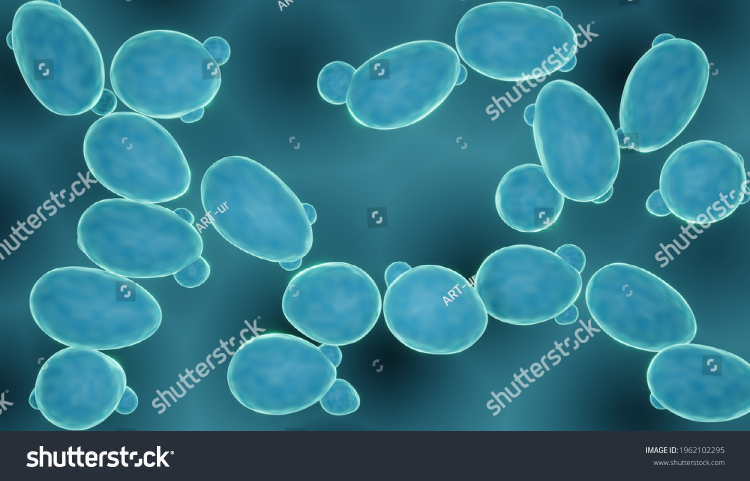 Budding fungi Images, Stock Photos & Vectors | Shutterstock