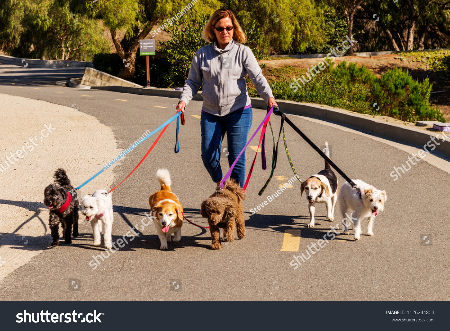 female dog walker