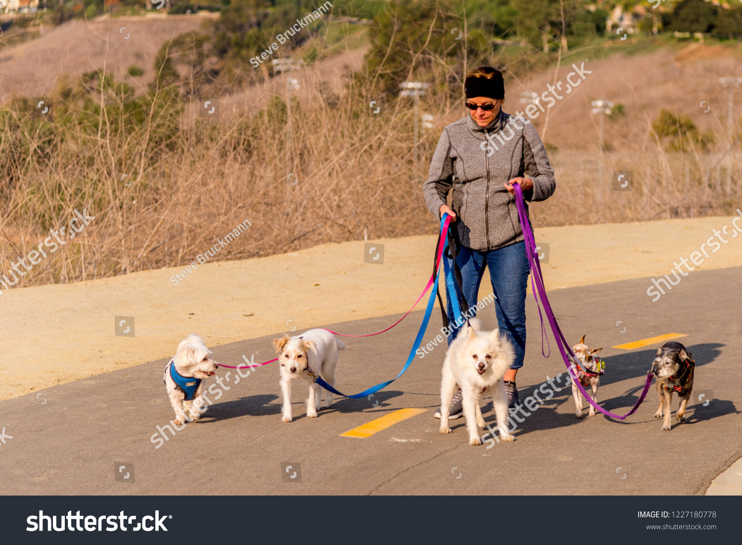 female dog walker