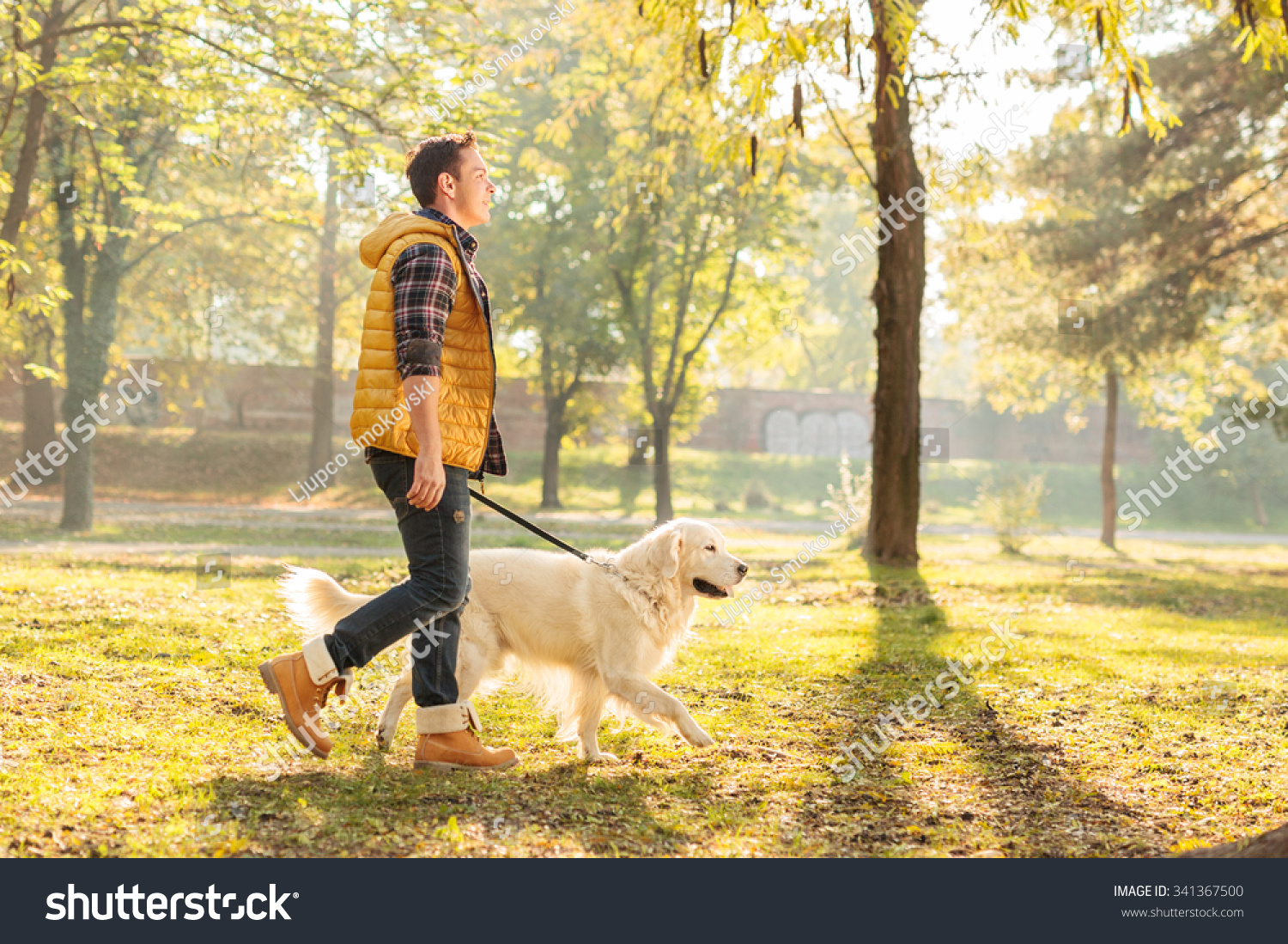 38981 Man Walking Dogs Park Images Stock Photos And Vectors Shutterstock