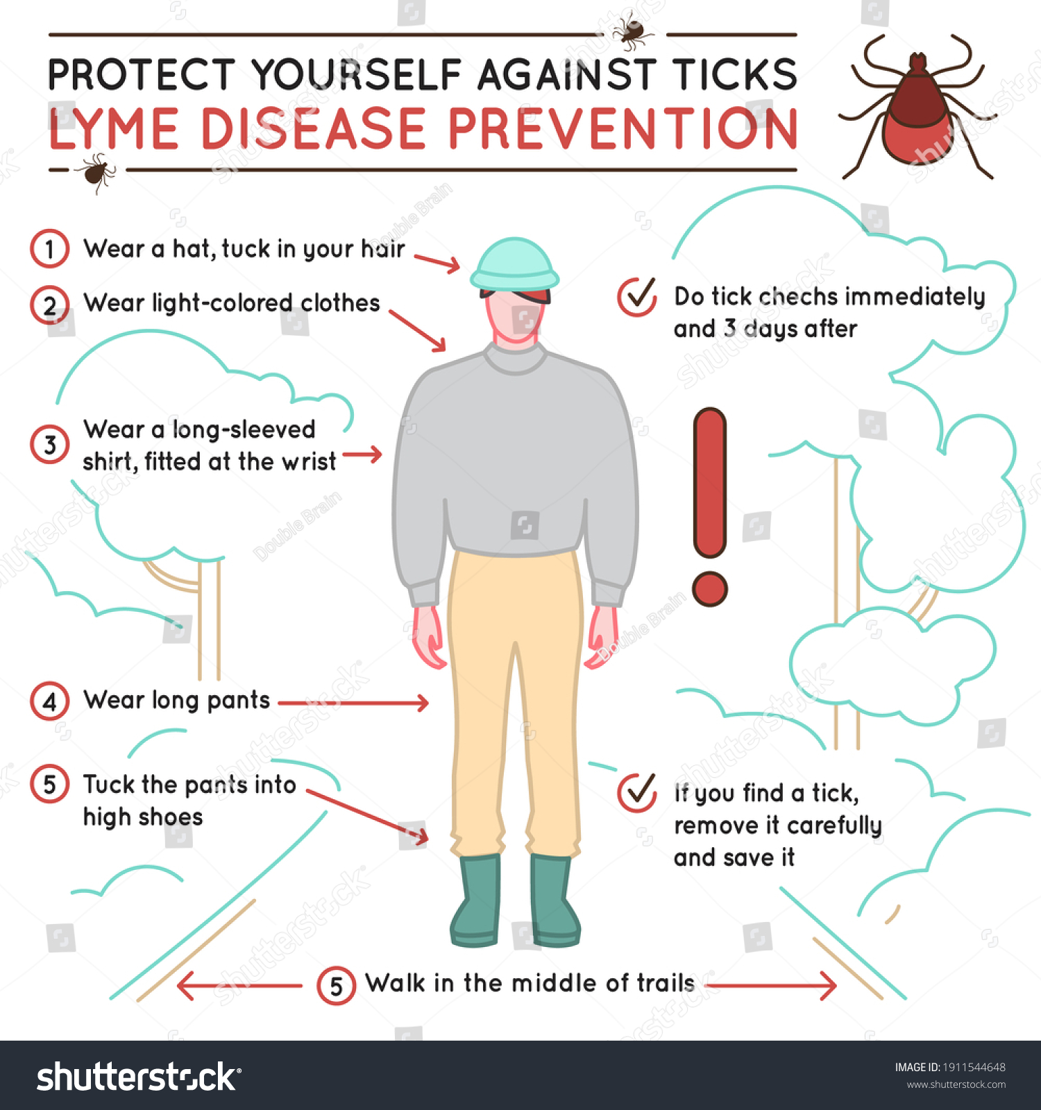 Protect Yourself Against Ticks Lyme Disease Ilustrações Stock