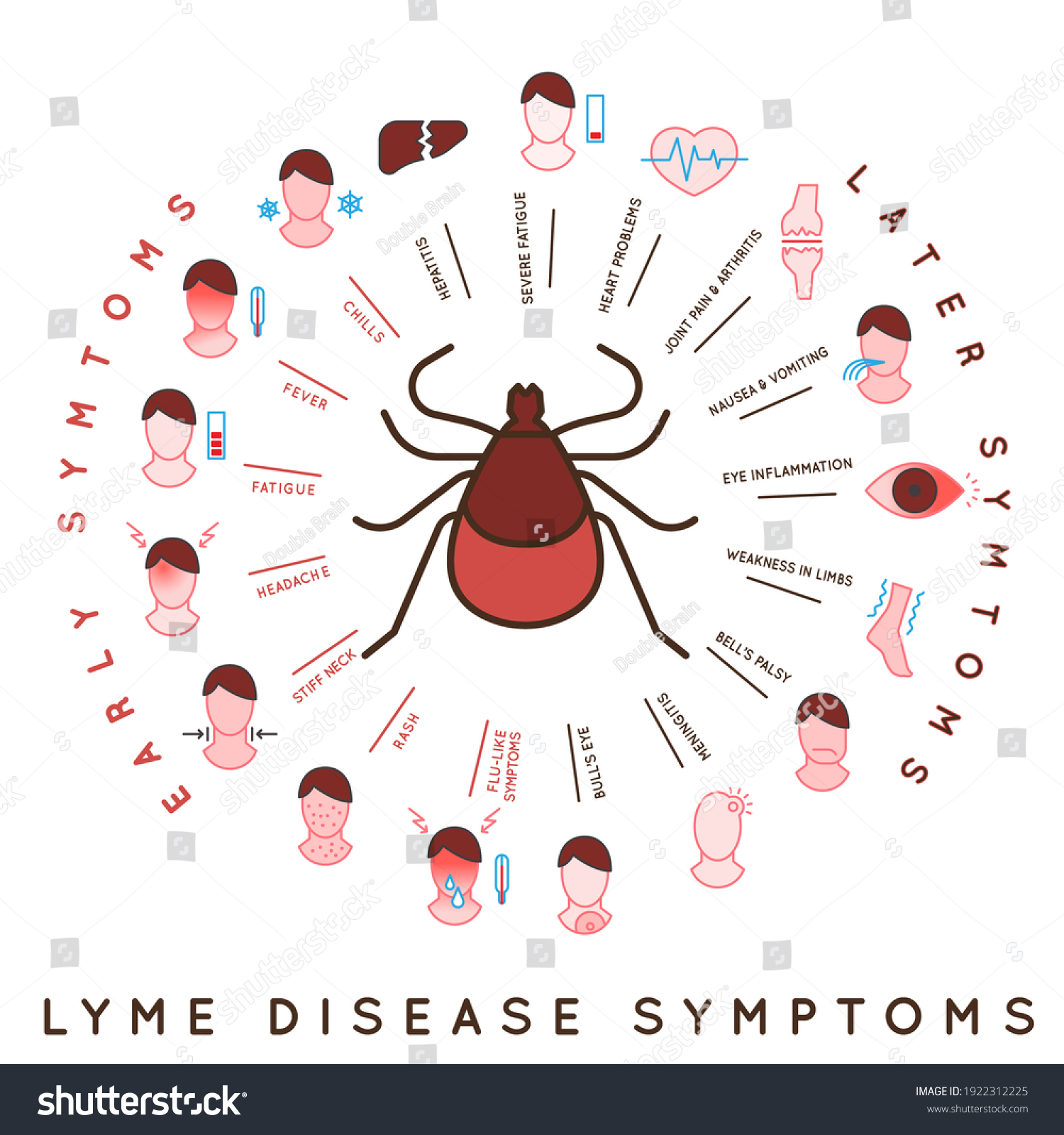 Protect Yourself Against Ticks Lyme Disease ภาพประกอบสต็อก 1922312225 Shutterstock