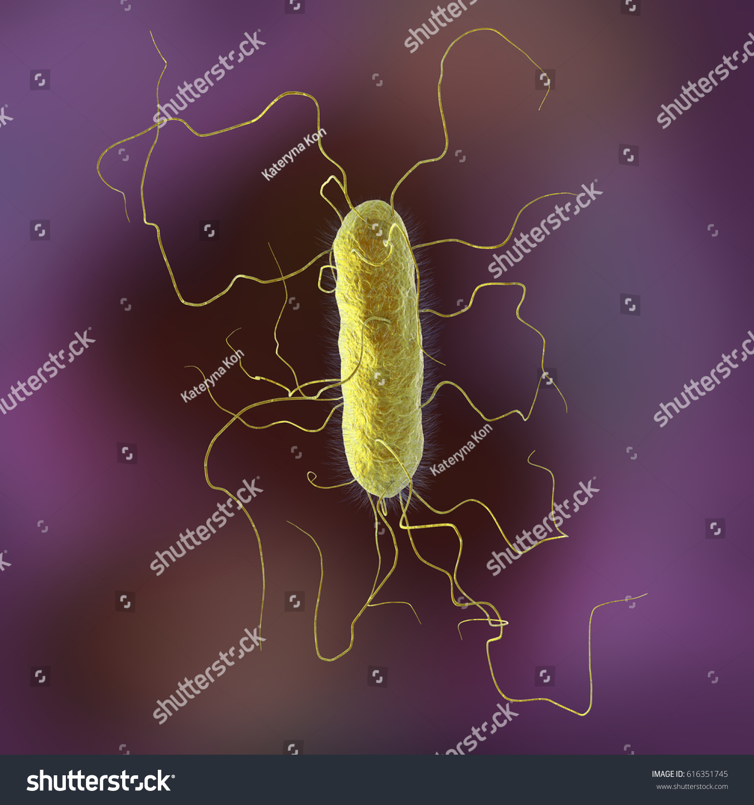 Proteus Vulgaris Bacterium 3d Illustration Gramnegative Stock ...