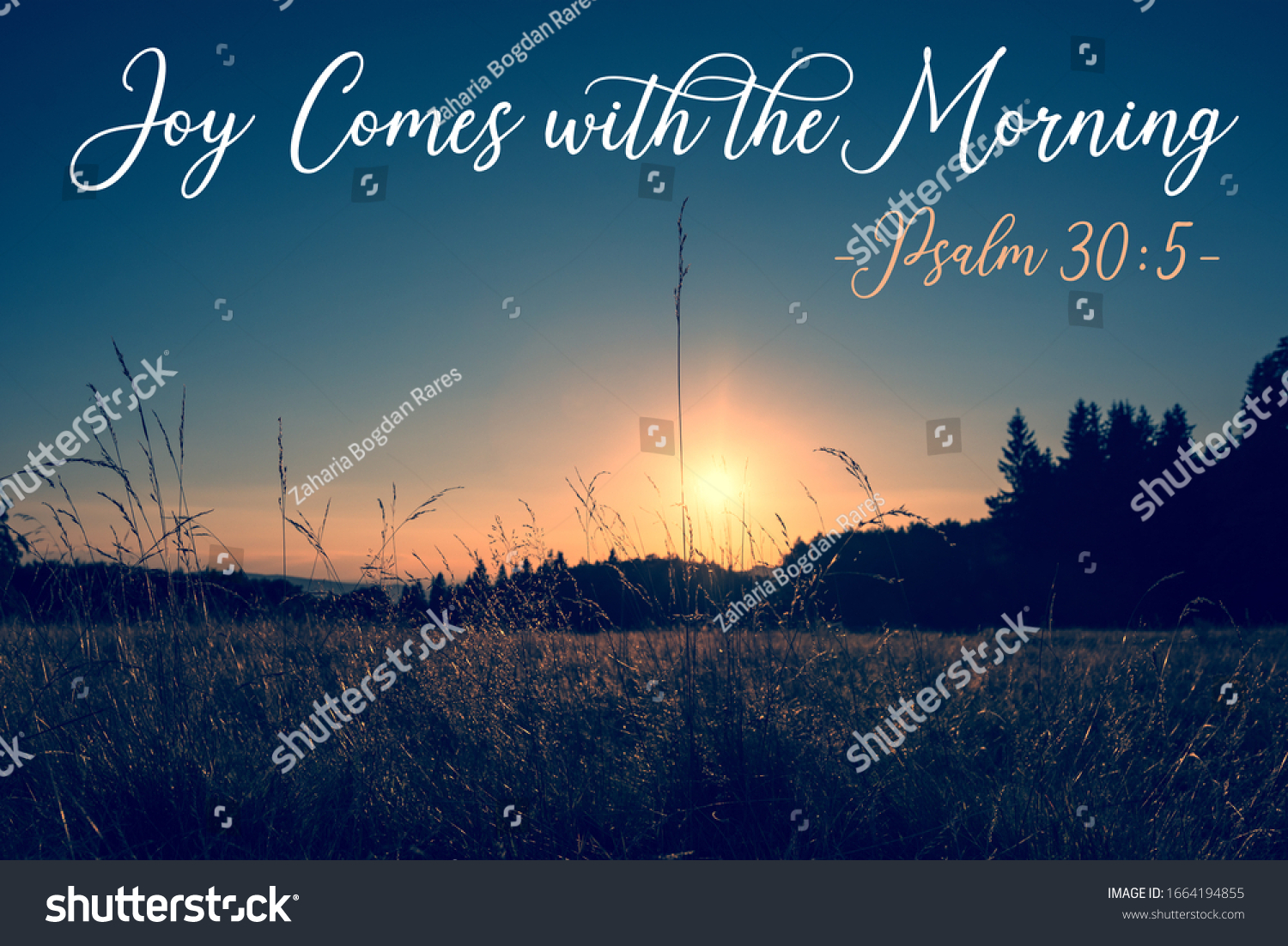 750-joy-comes-in-the-morning-images-stock-photos-vectors-shutterstock