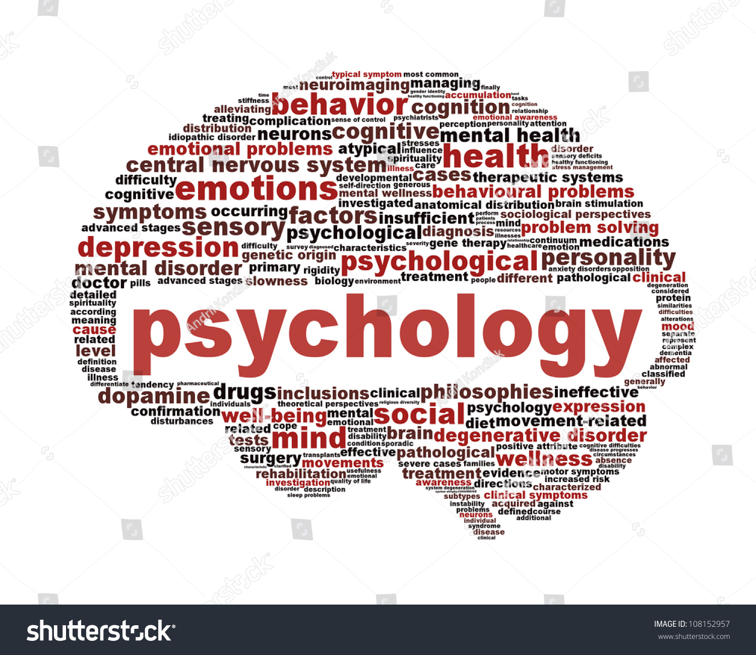 mental health psychologist