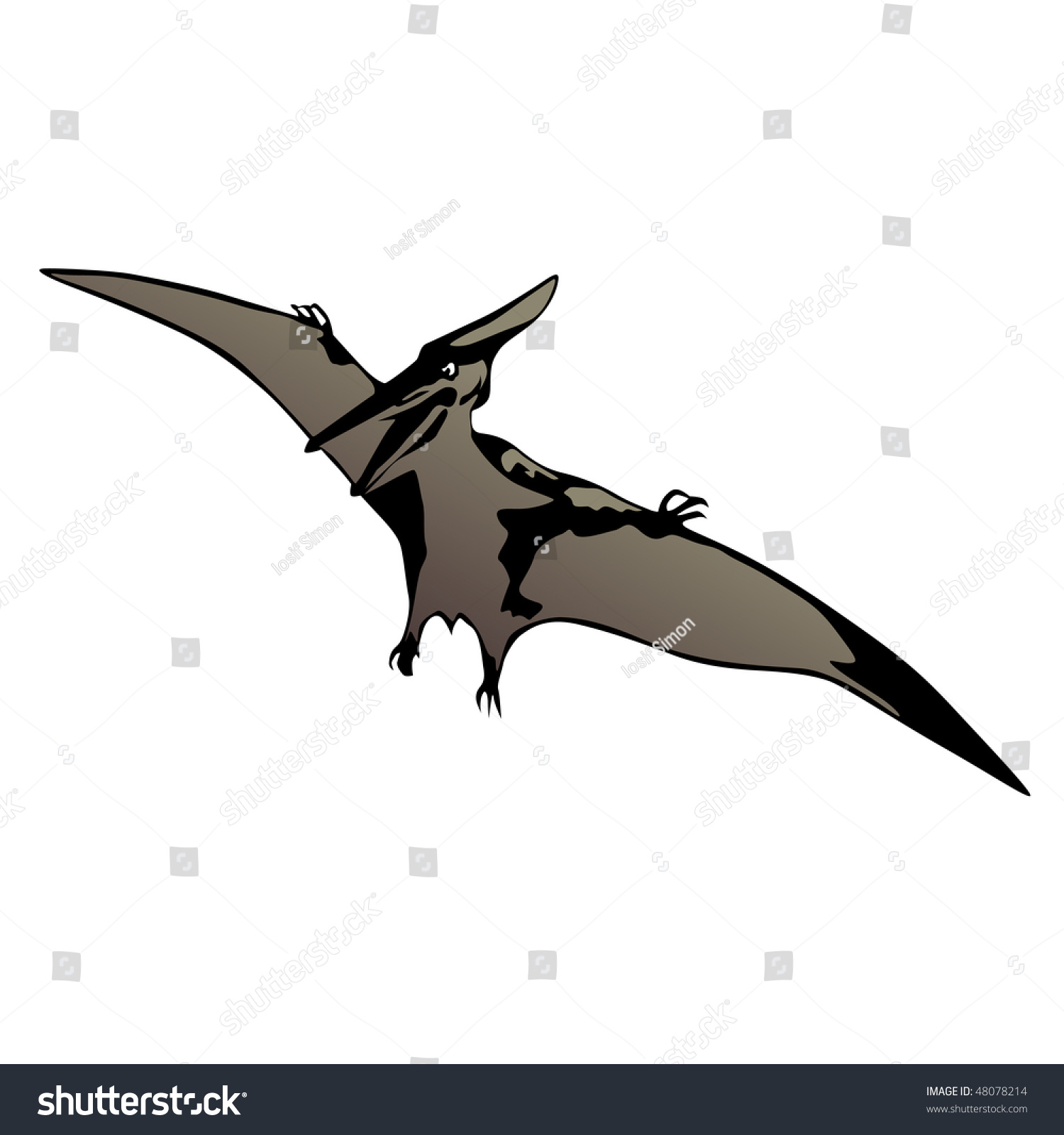 Pteranodon Illustration - 48078214 : Shutterstock