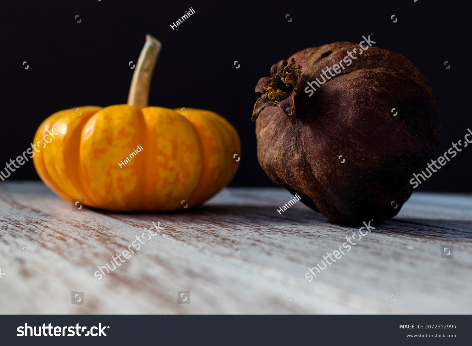 448 Rotten gourd Images, Stock Photos & Vectors | Shutterstock