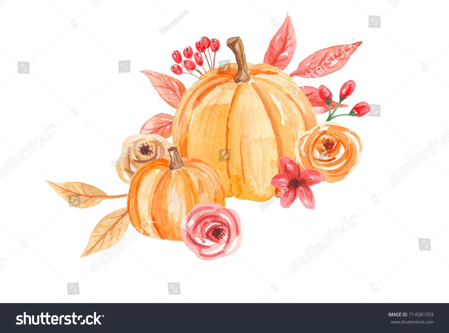 Download Pumpkin Floral Watercolor Autumn Fall Hand Stock Illustration 714581593