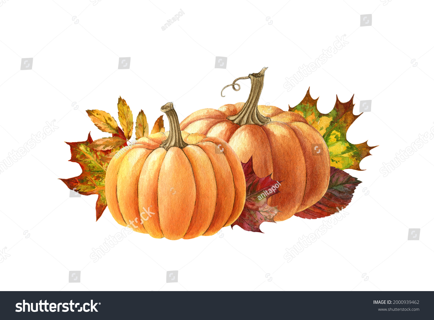 39,284 Painted pumpkins Images, Stock Photos & Vectors | Shutterstock