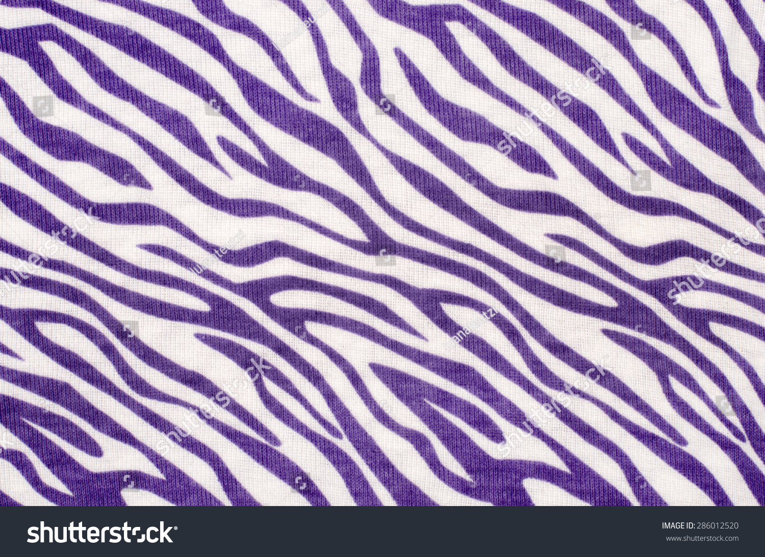 Purple White Zebra Pattern Violet Animal Backgrounds Textures Stock Image 286012520,Home Indian Baby Shower Decorations