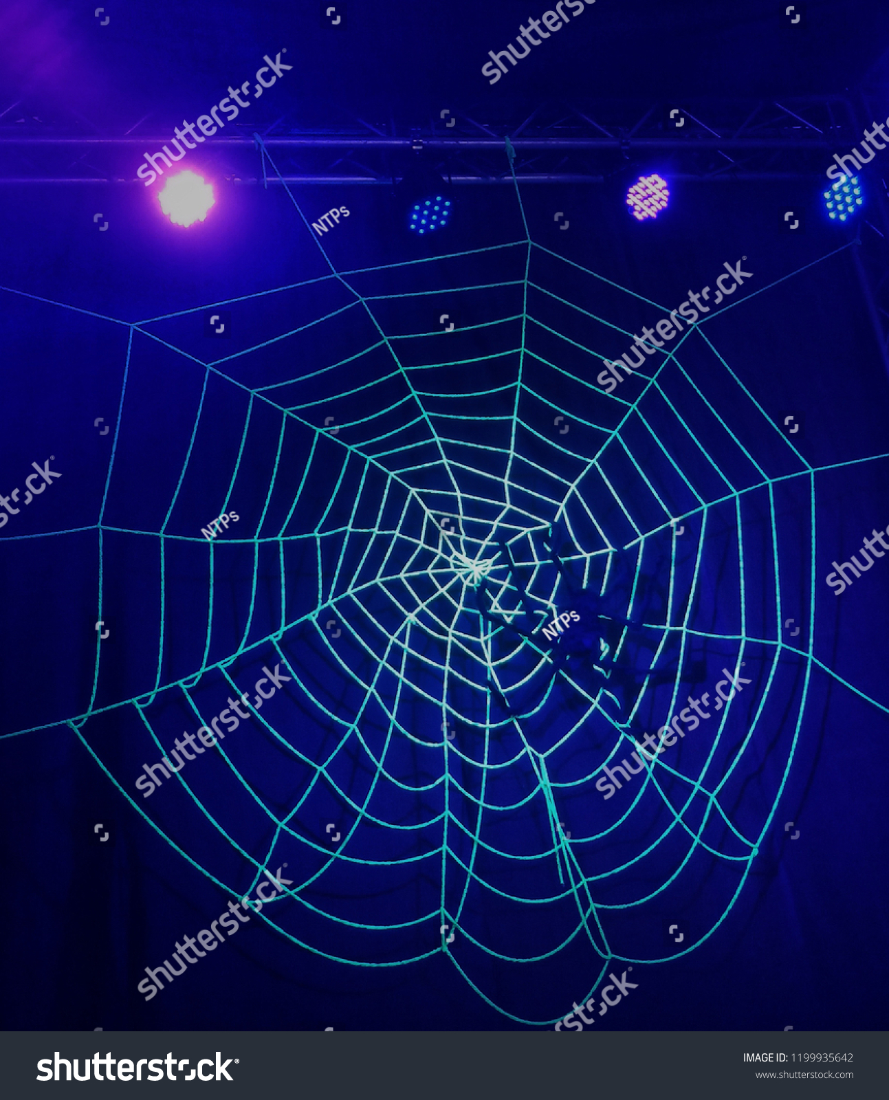 purple spider web decoration