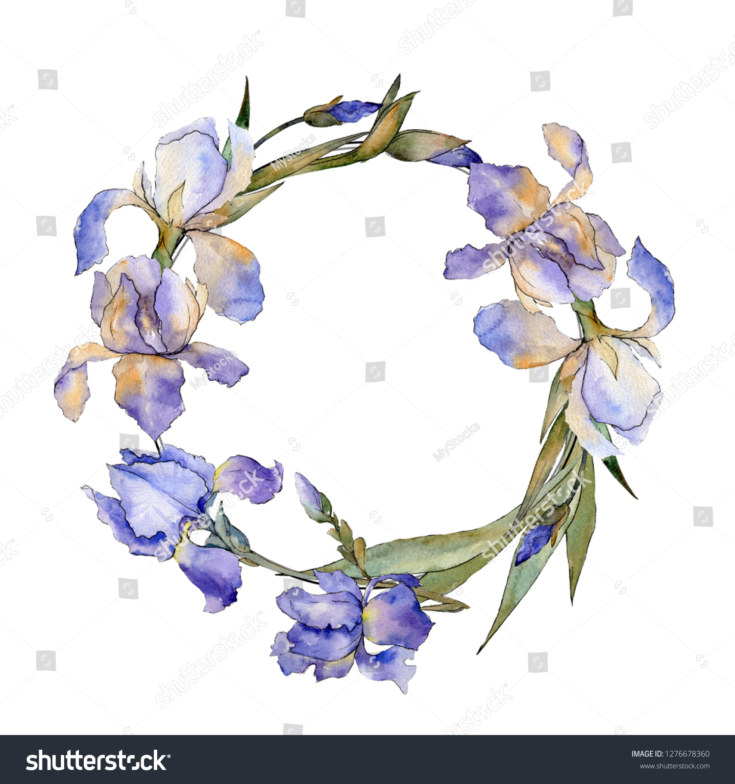 Purple Iris Floral Botanical Flower Wild Stock Illustration ...