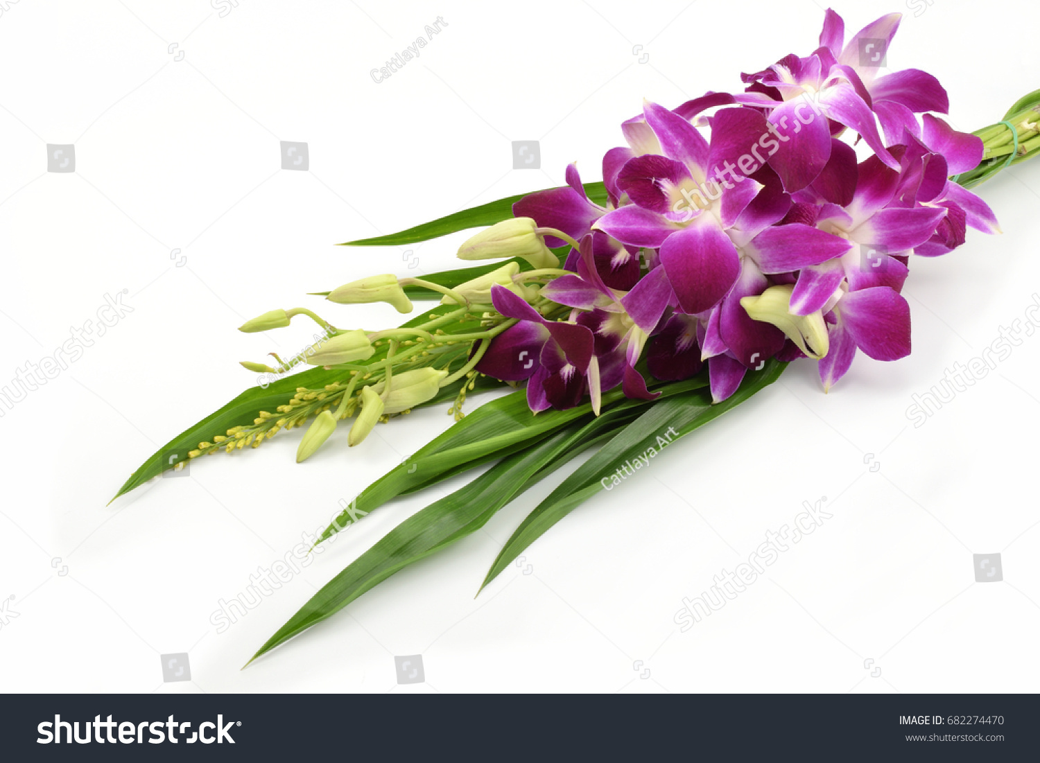 Purple White Orchid Bouquet Dendrobium On Stock Photo Edit Now 682274470