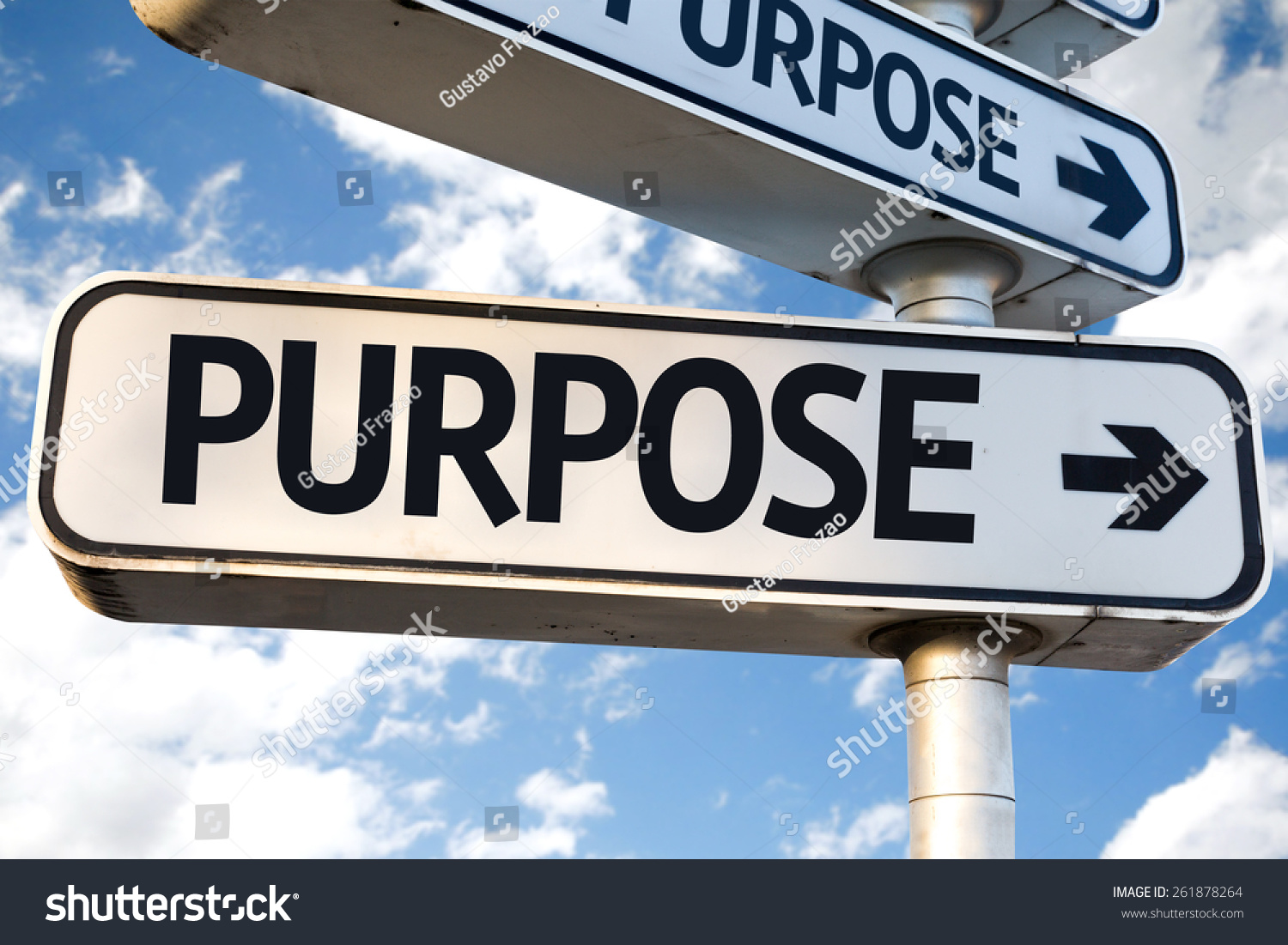 Purpose Direction Sign On Sky Background Stock Photo 261878264 ...