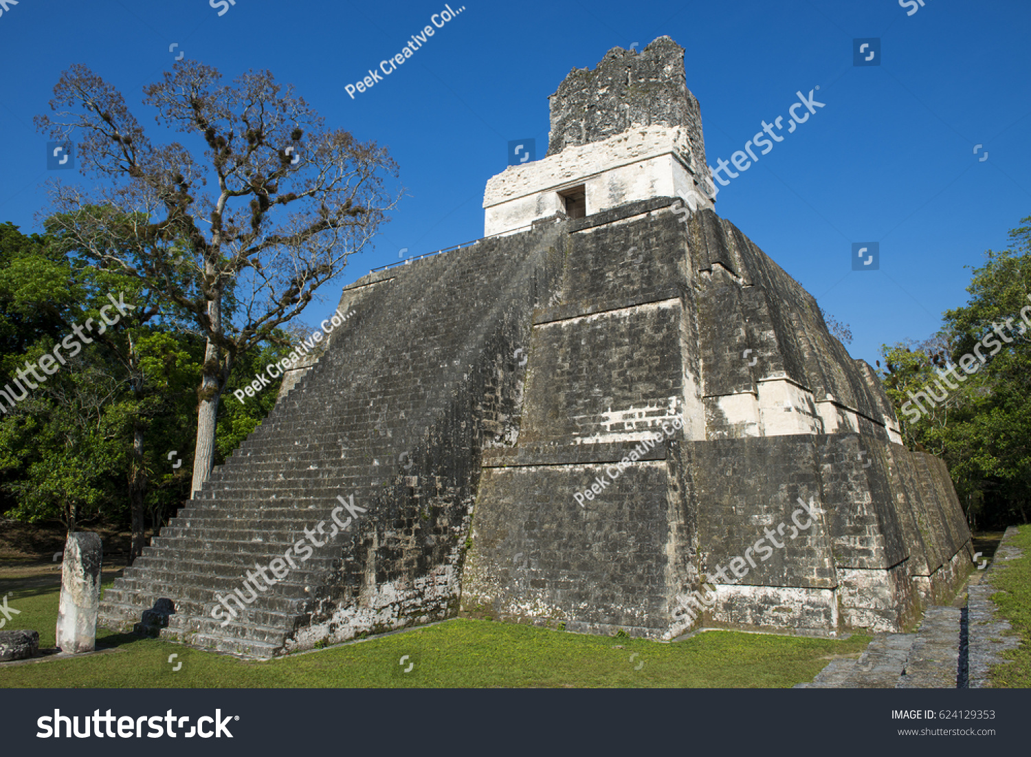 The ancient mayan culture