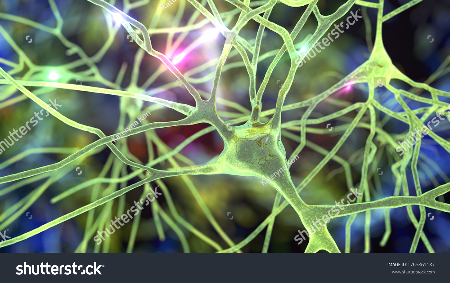 Pyramidal Neurons Human Brain Cortex 3d Stock Illustration 1765861187 ...