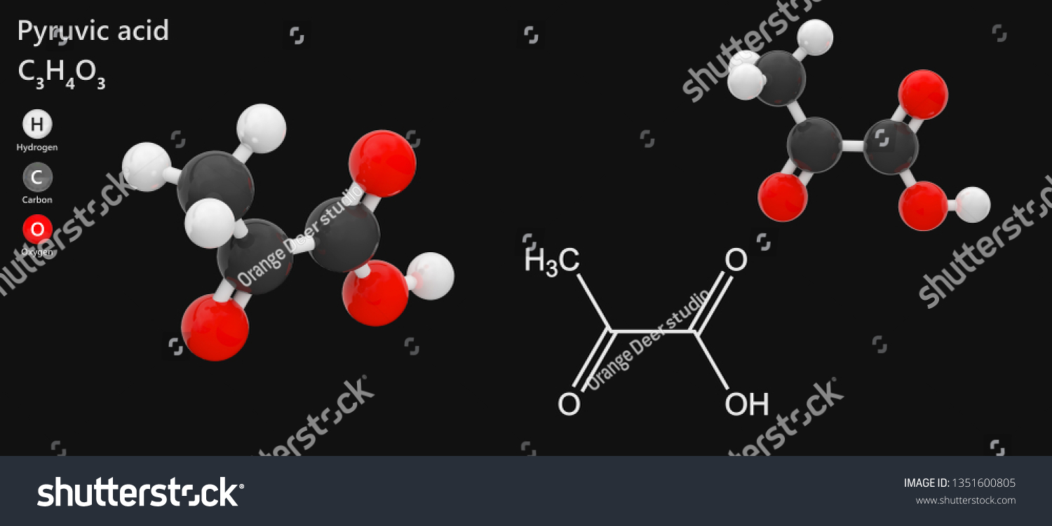 Pyruvic Acid Molecular Formula C3h4o3 Intermediate Stock Illustration ...