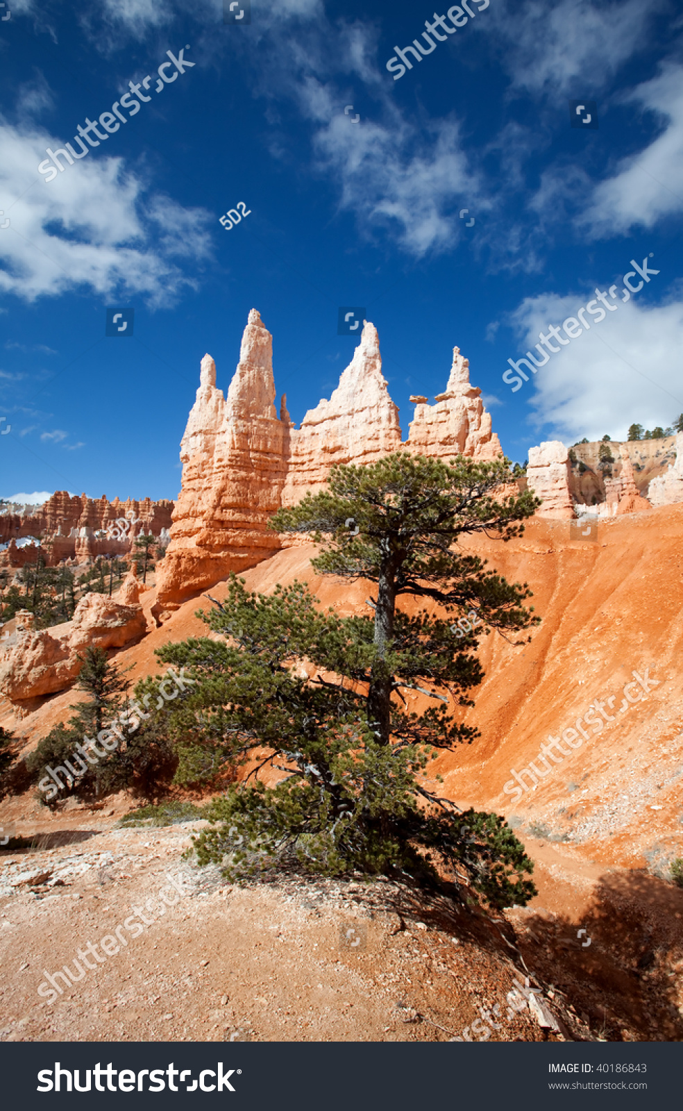 Queen Victoria Formation From The Queen'S Trail In Bryce Canyon. Stock ...