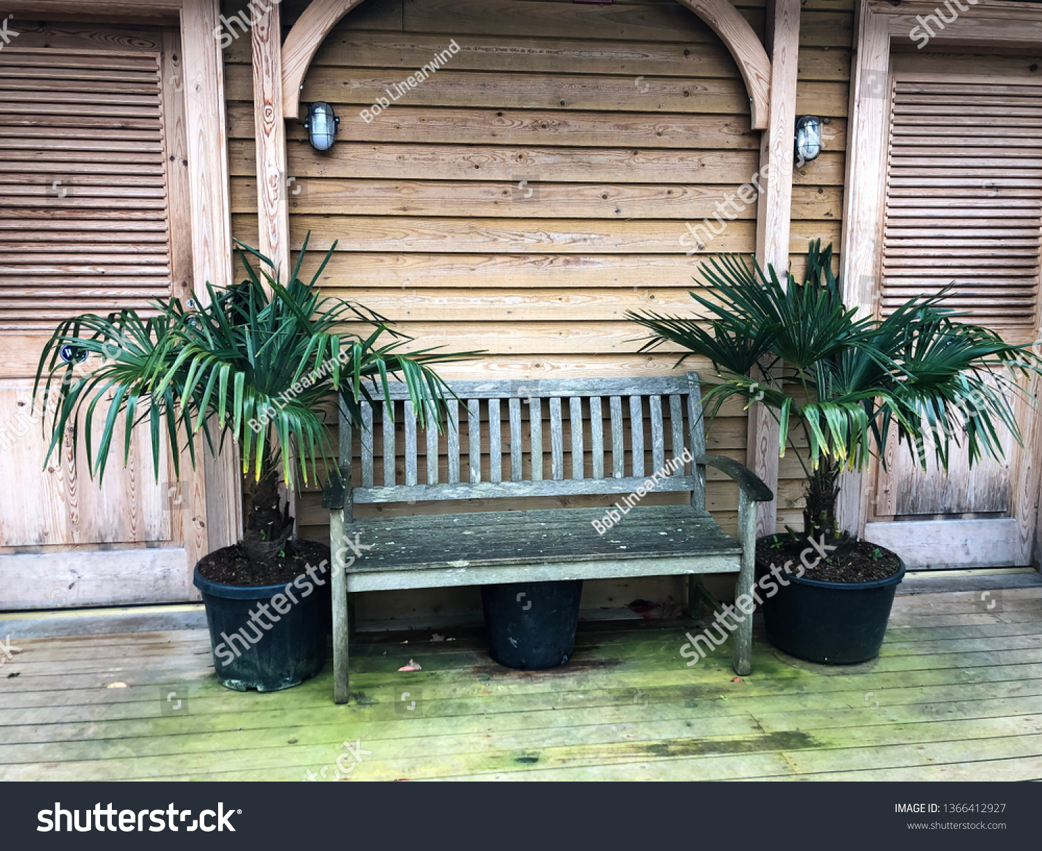 Quiet Spot Wooden Garden Bench Tropical Stock Photo Edit Now
