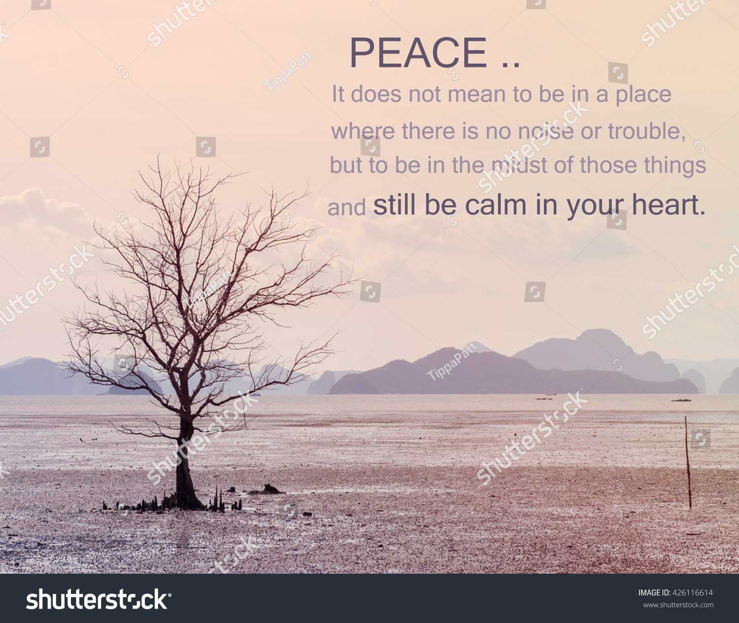 Quote about peace of life and slow living with natural background in vintage style