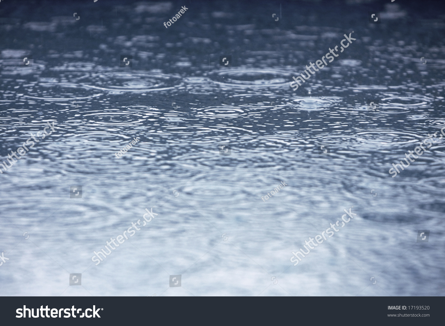 Rain Drops In A Puddle Creating Ripples Stock Photo 17193520 : Shutterstock