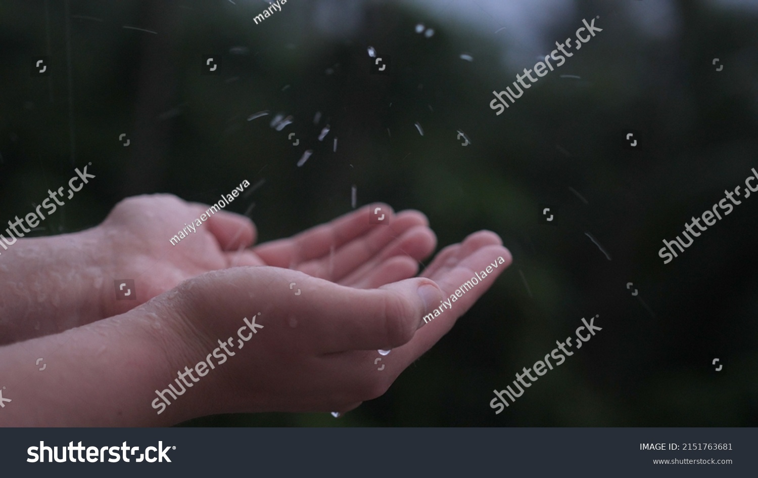 Rain Water Drop Hands Man Green Stock Photo 2151763681 | Shutterstock