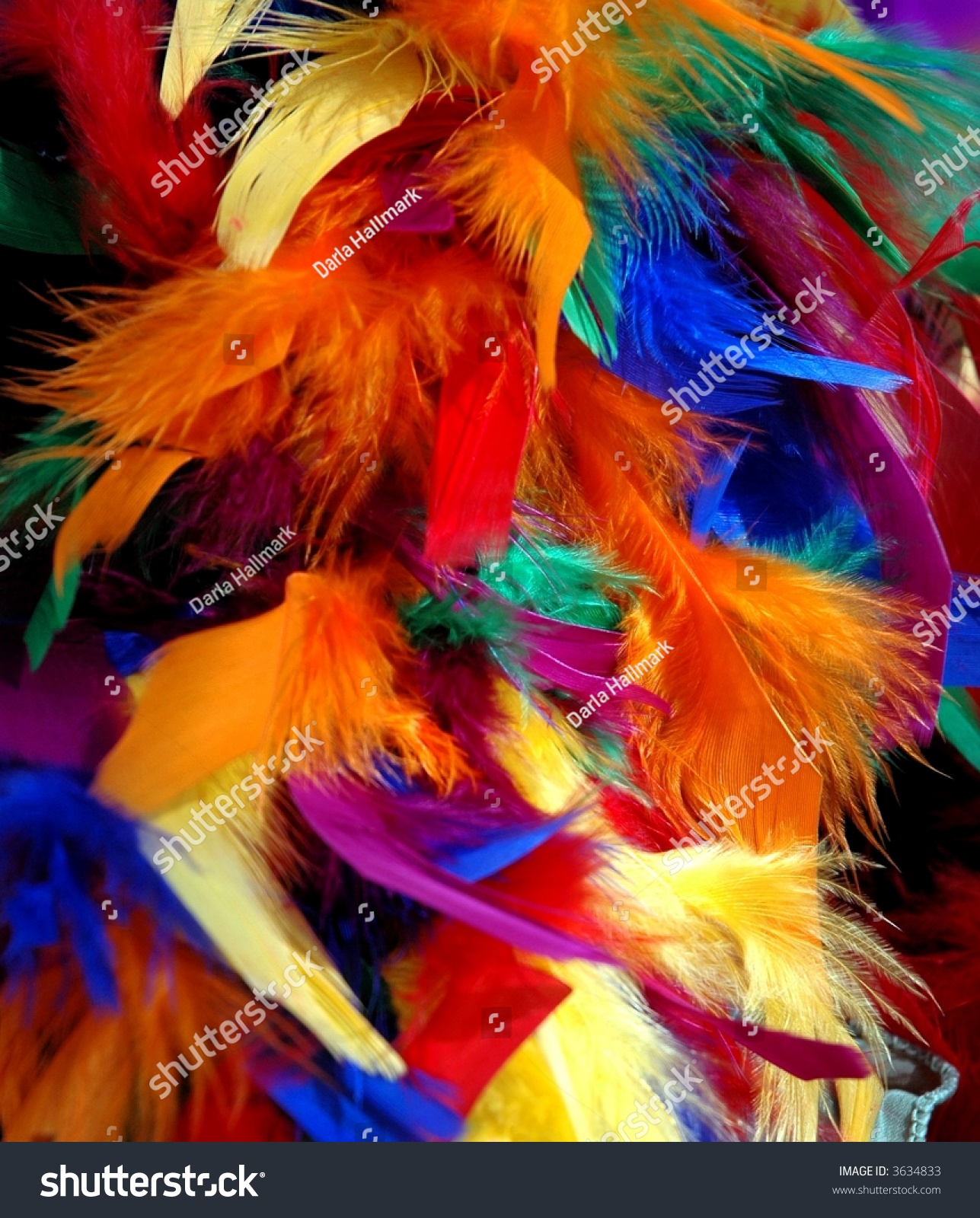 Rainbow Colored Feather Boa Stock Photo 3634833 : Shutterstock