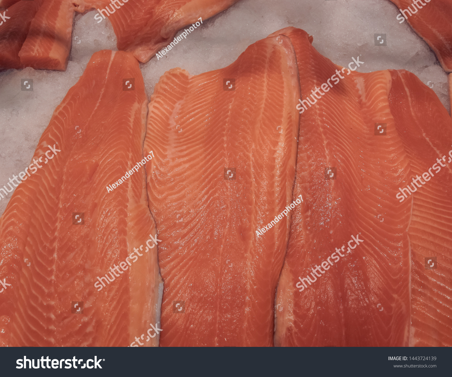 Rainbow Trout Fillets On Ice Fish Stock Photo Edit Now 1443724139