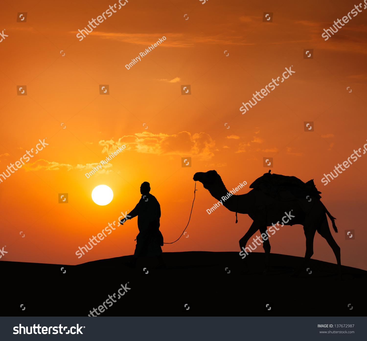  Gold Dual Curve Template Design Featuring Rajasthan Travel Indian