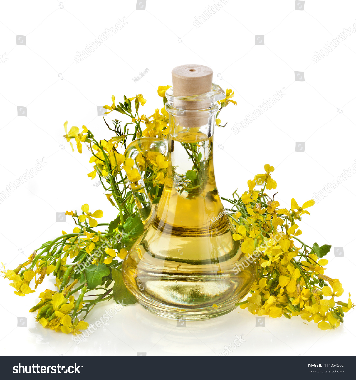 Rape Mustard Bottle Decanter Oil, With Blossoms Herb, Close Up Isolated ...