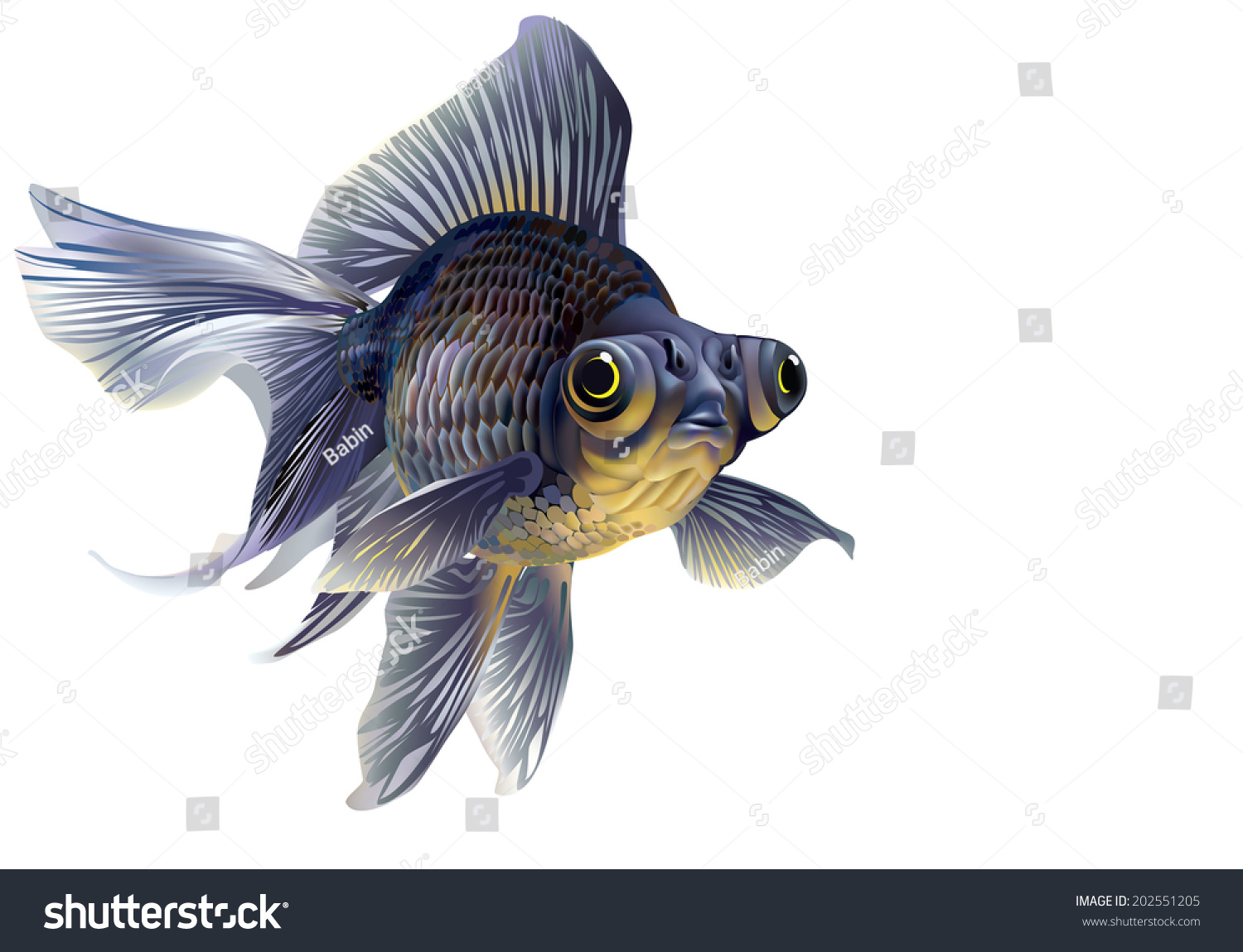 This amazing fish is a telescope This amazing fish is a telescope