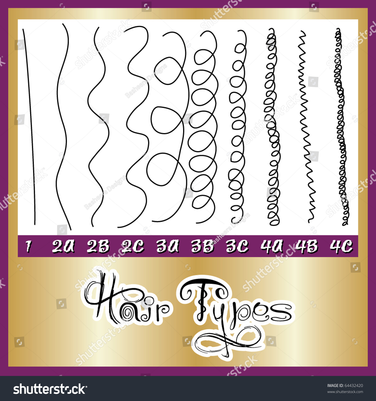 Raster Version Illustration Of A Hair Types Chart Displaying All Types ...