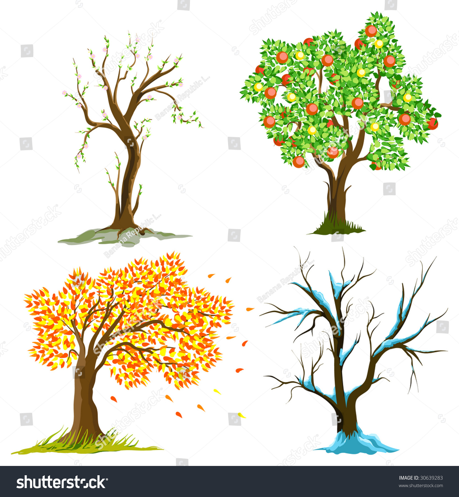 Raster Version. Trees In Seasons Stock Photo 30639283 : Shutterstock