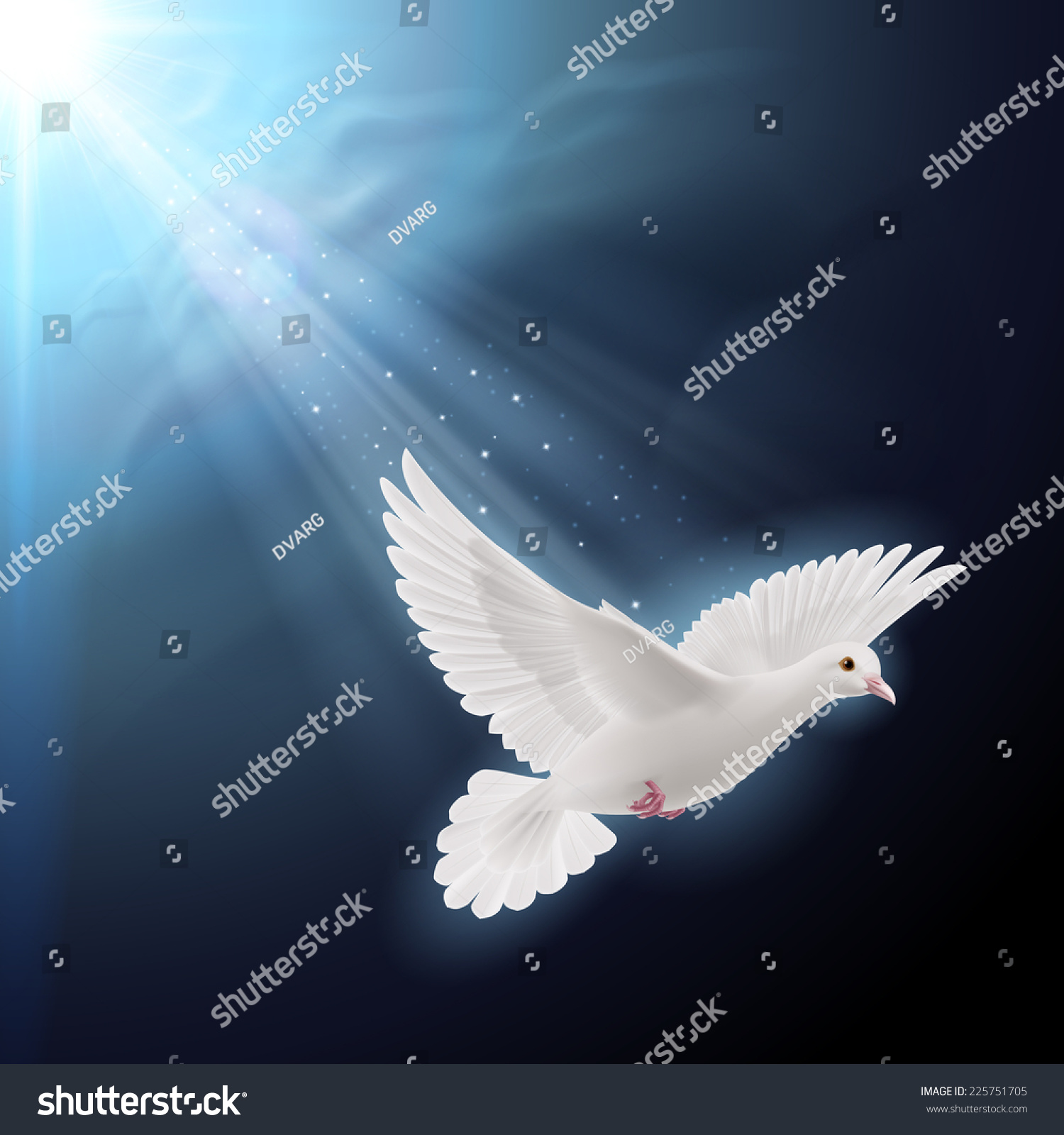 Raster Version White Dove Flying Sunlight Stock Illustration 225751705 ...