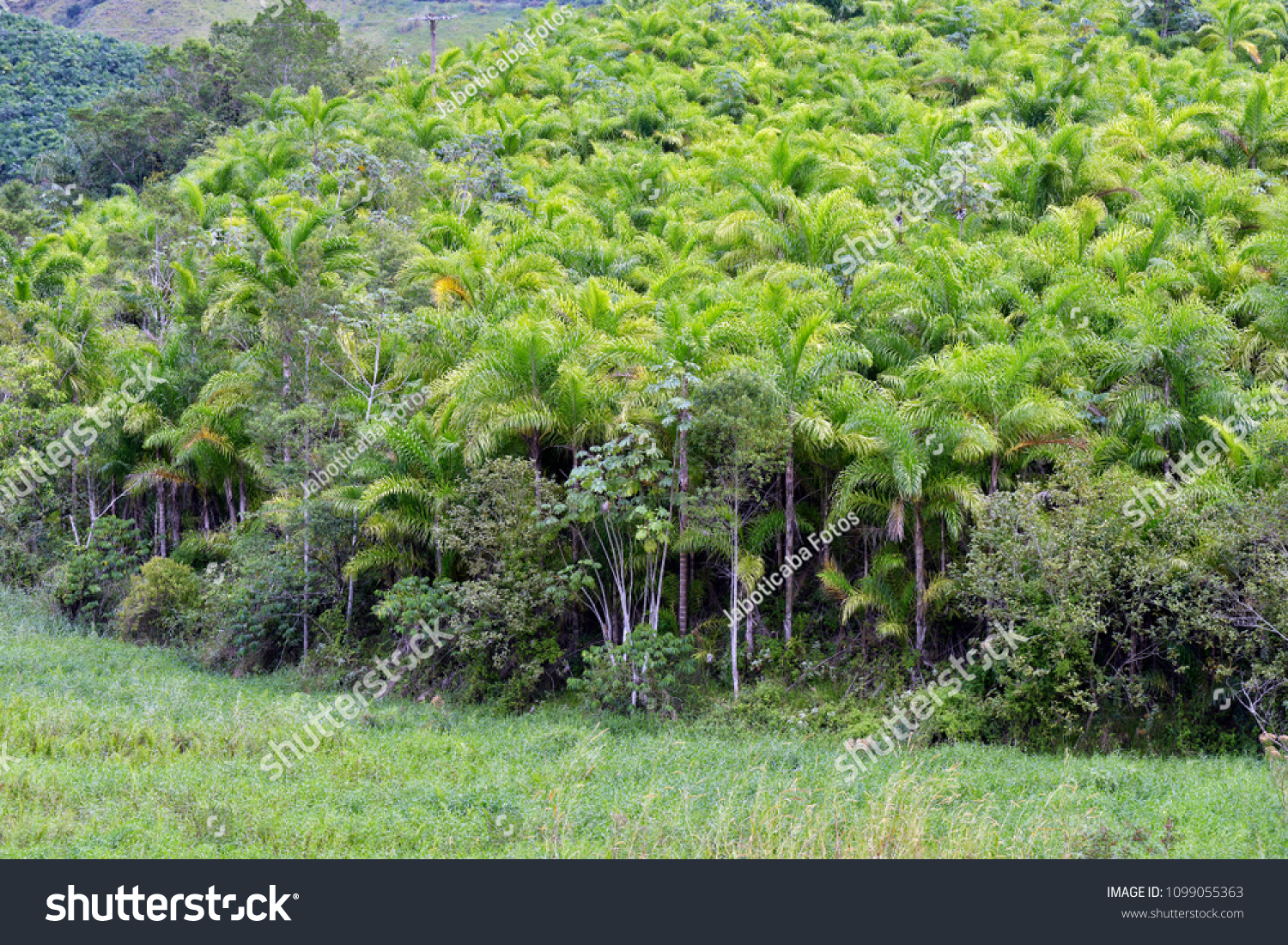 Ribeira São Paulo fonte: image.shutterstock.com