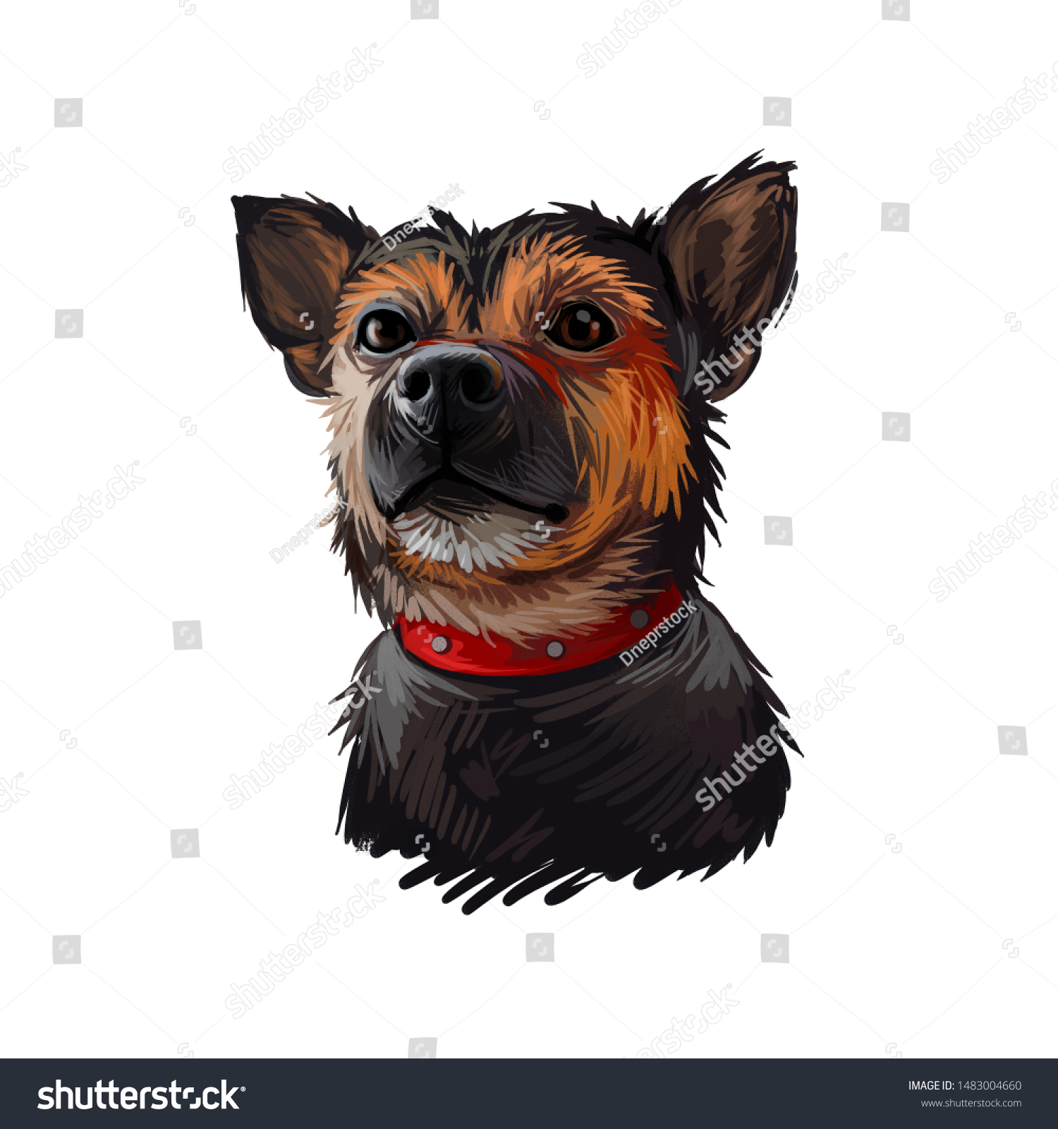 Ratonero Murciano De Huerta Dog Portrait Stock Illustration 1483004660