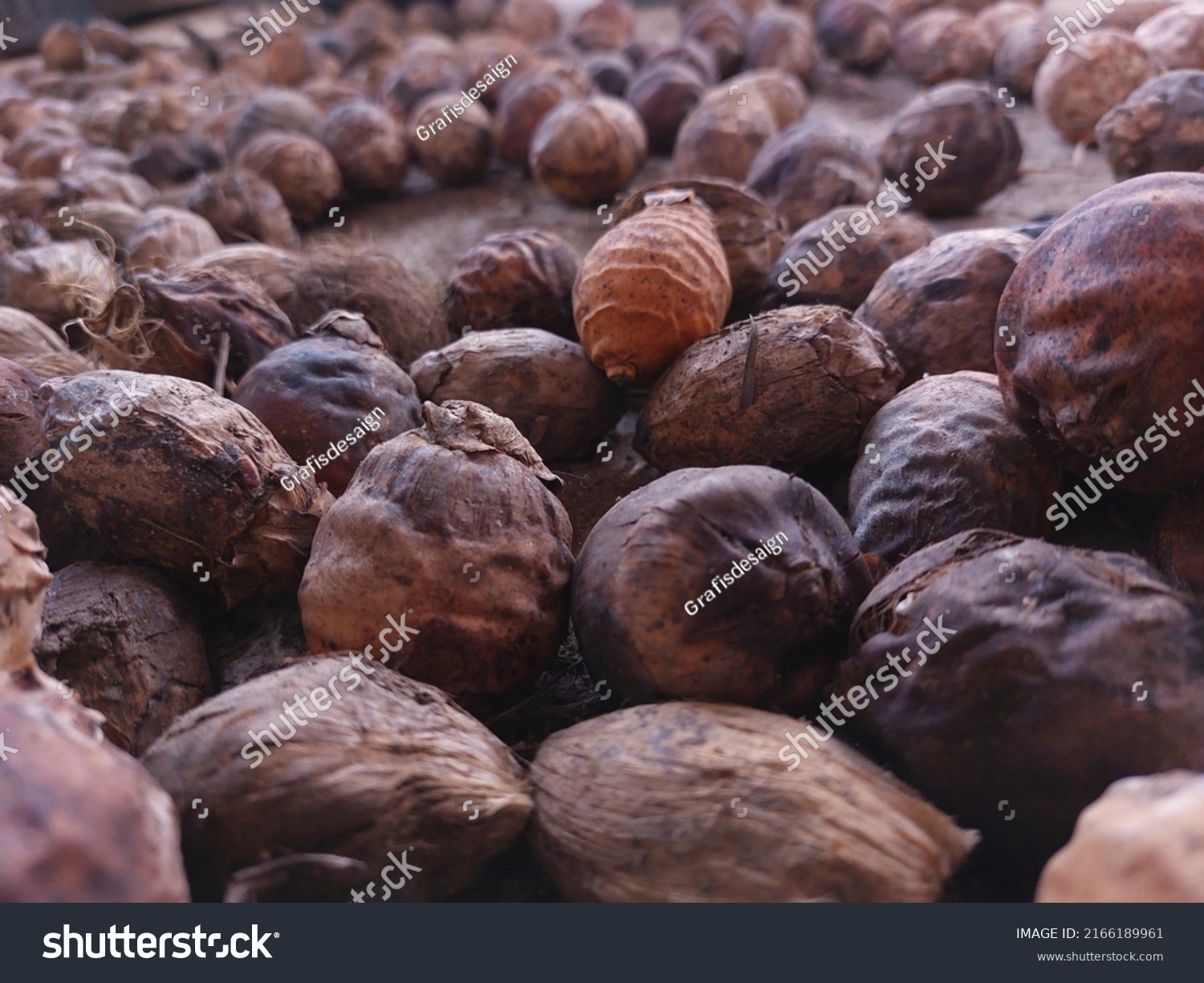 raw-betel-nut-benefits-herbal-medicine-stock-photo-2166189961