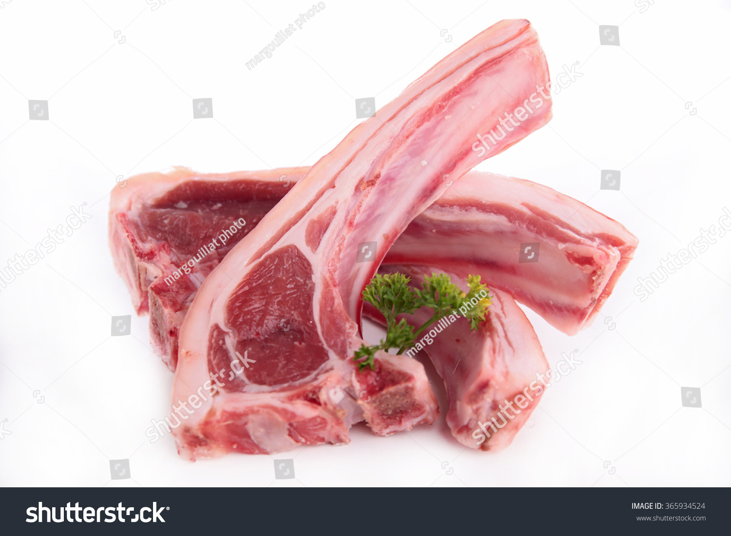 Raw Lamb Chop Stock Photo 365934524 - Shutterstock for Raw Lamb Chop
51ane Raw Lamb Chop Stock Photo 365934524 - Shutterstock for Raw Lamb Chop
51ane