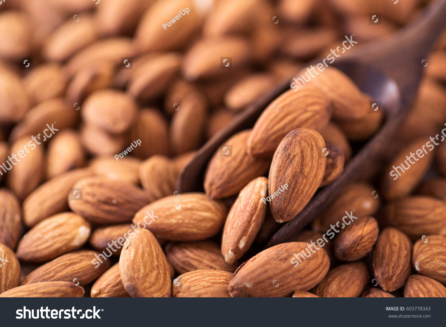Whole Natural Almonds Food For Less Whole Natural Almonds Food For Less