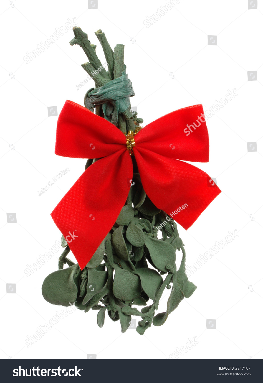 Real Mistletoe With Gold And Red Ribbon Attached Stock Photo 2217107 ...
