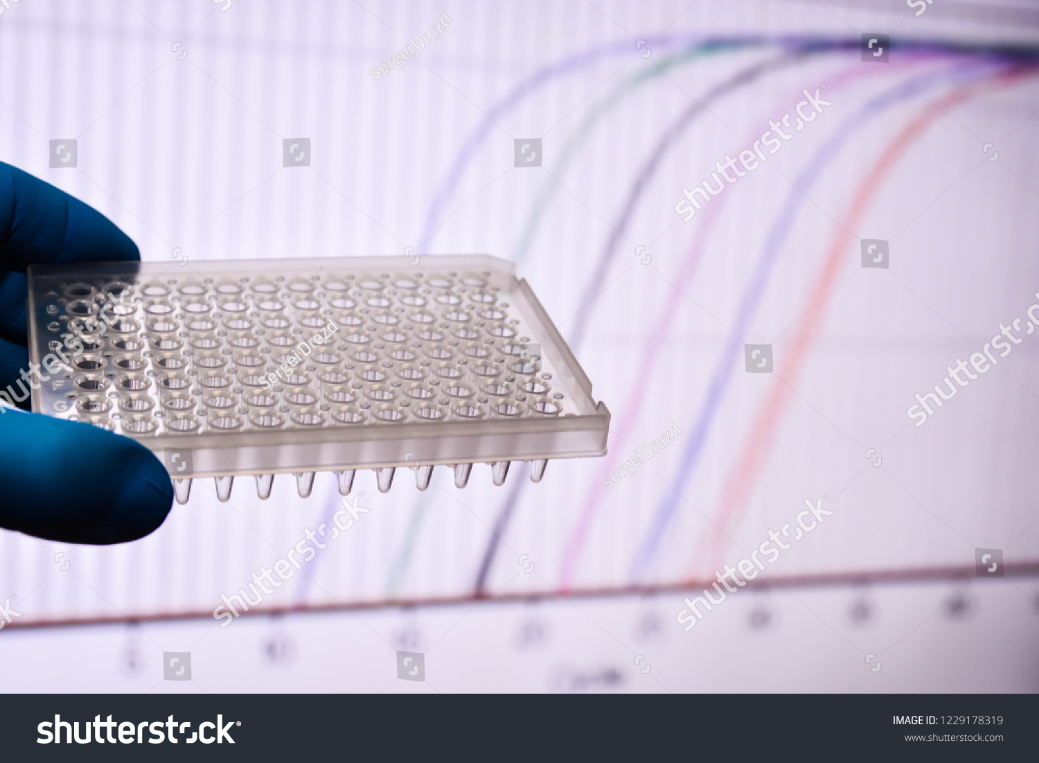 Realtime Pcr Research Laboratory 96well Plate Stock Photo Edit Now
