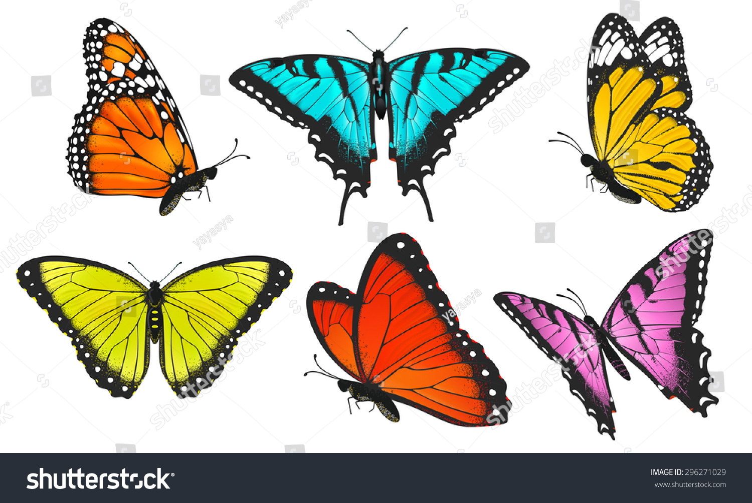 Realistic Butterflies Illustration - 296271029 : Shutterstock