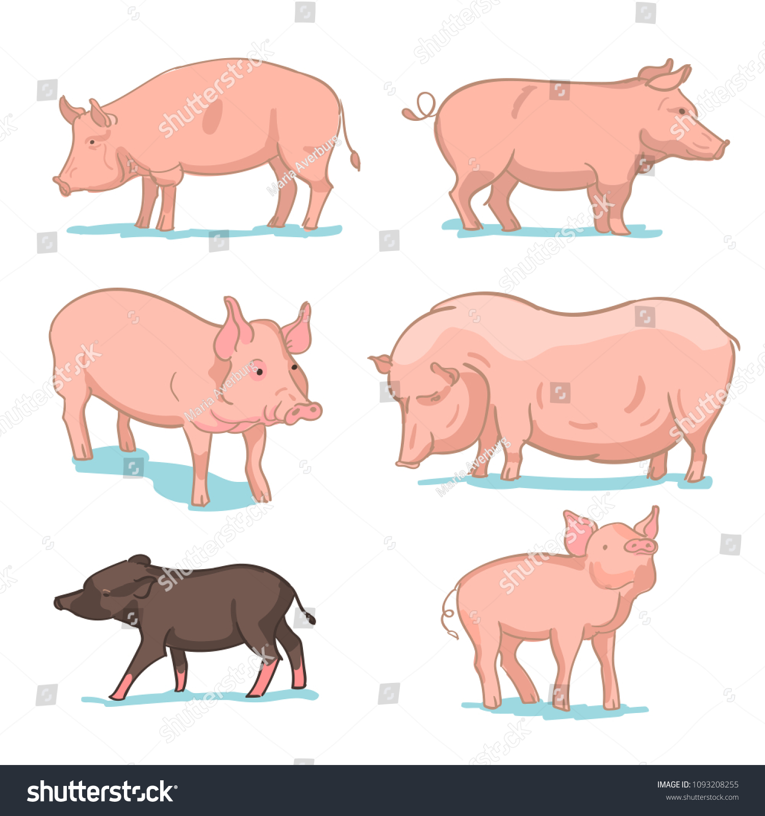 Realistic Colored Sketch Illustration Farm Pigs Stock Illustration ...