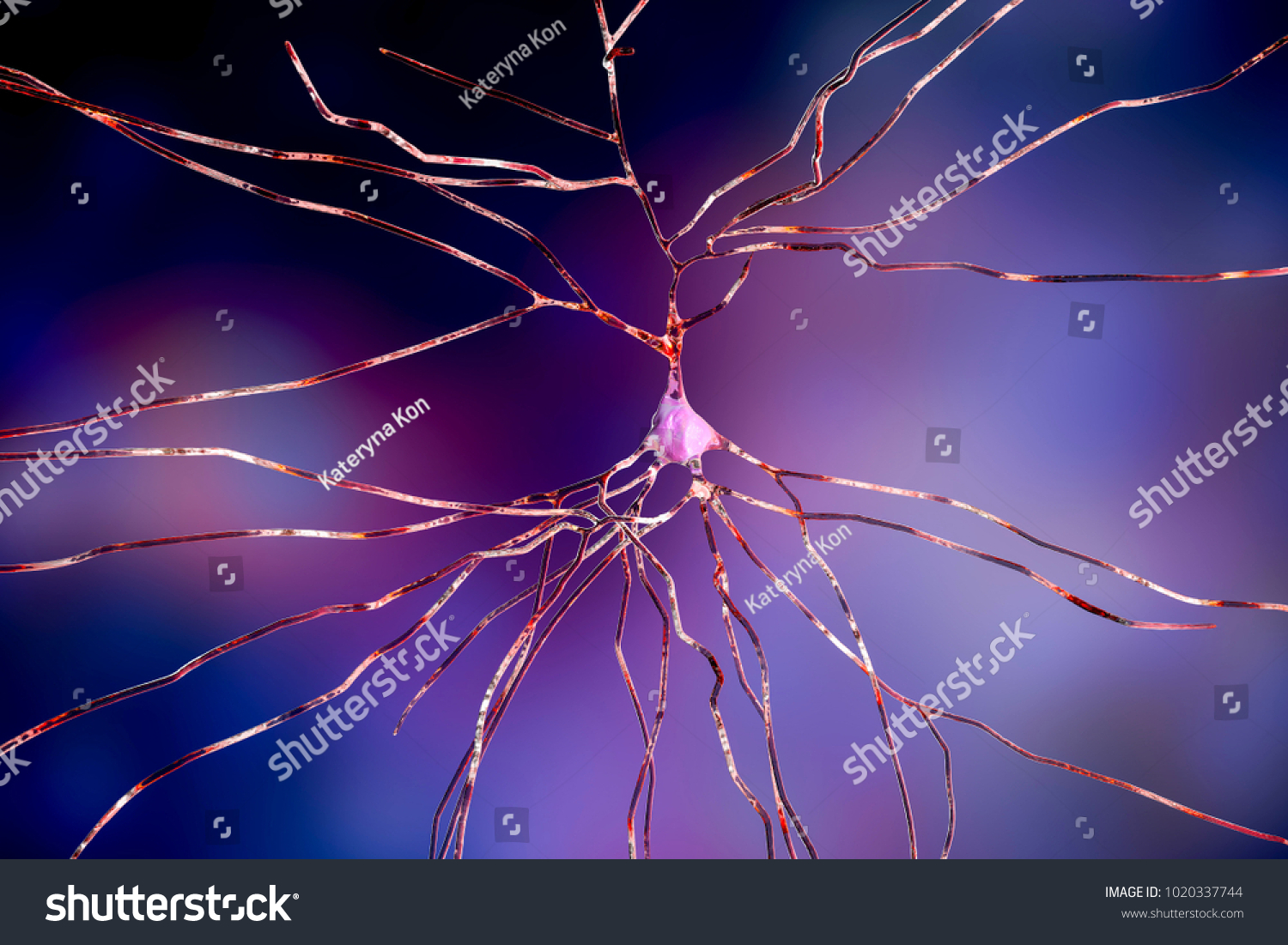 Realistic Neuron Human Brain Cell 3d Stock Illustration 1020337744