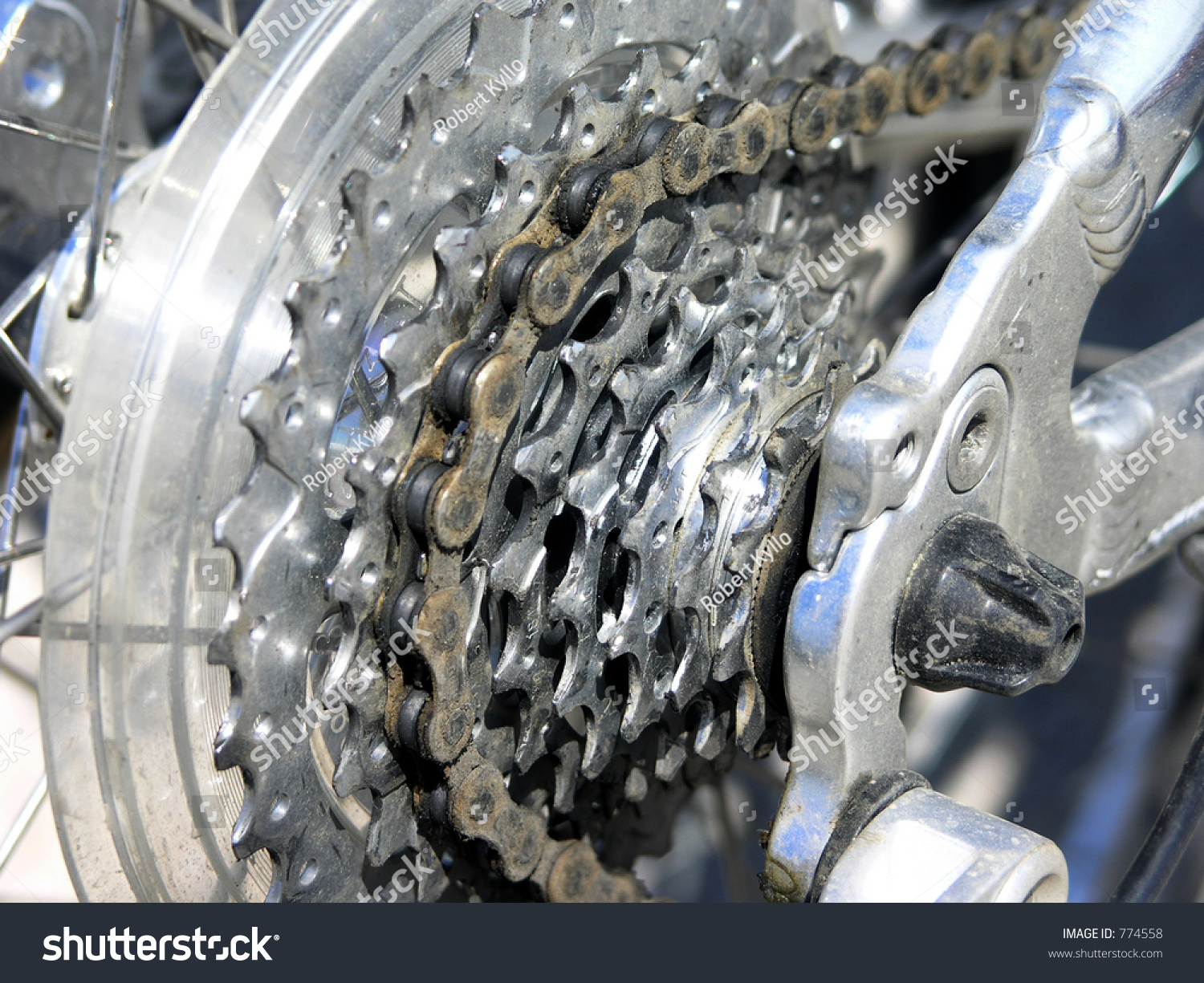 Rear Sprockets On Bicycle Stock Photo 774558 - Shutterstock