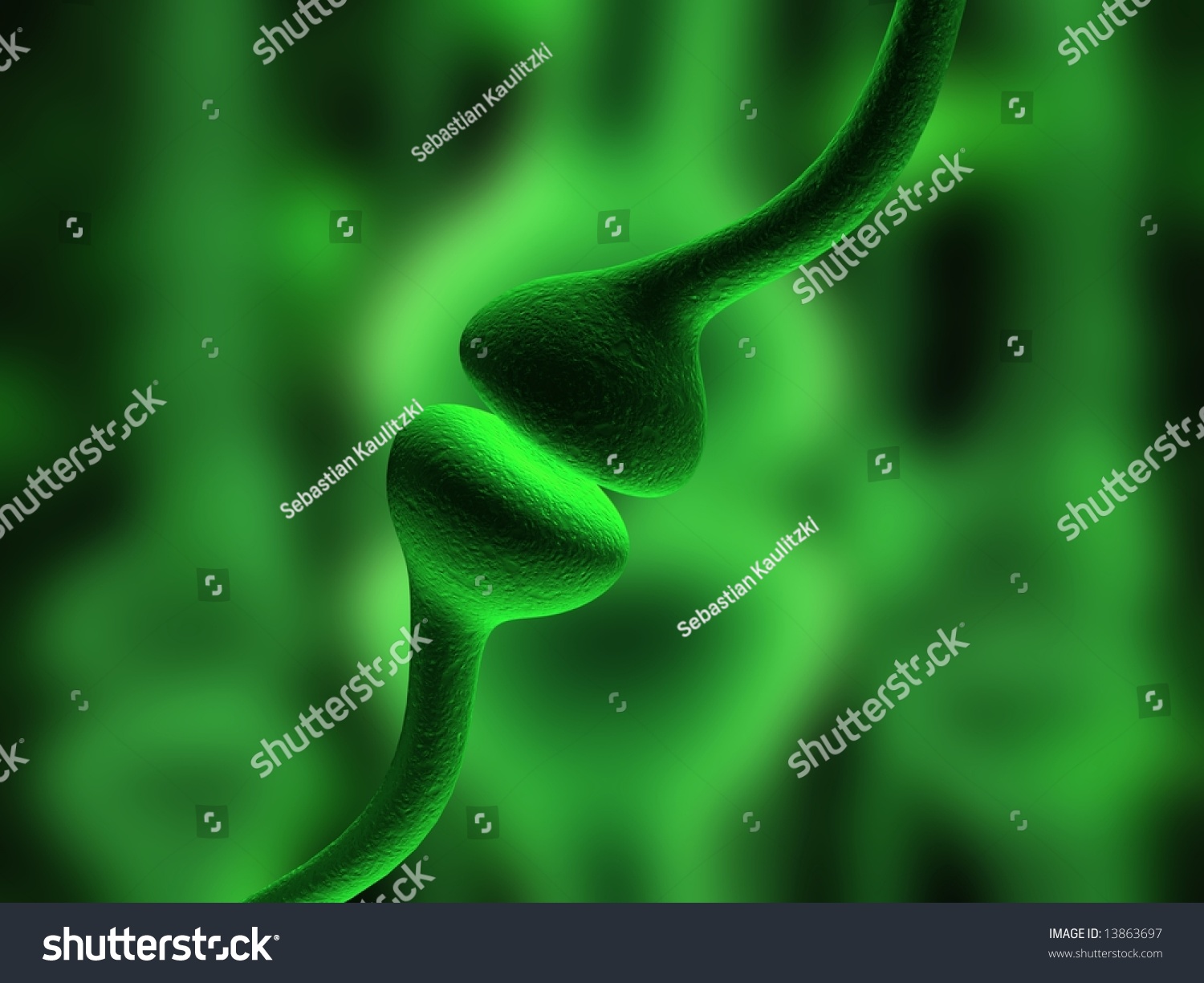 Receptor Stock Illustration 13863697 Shutterstock